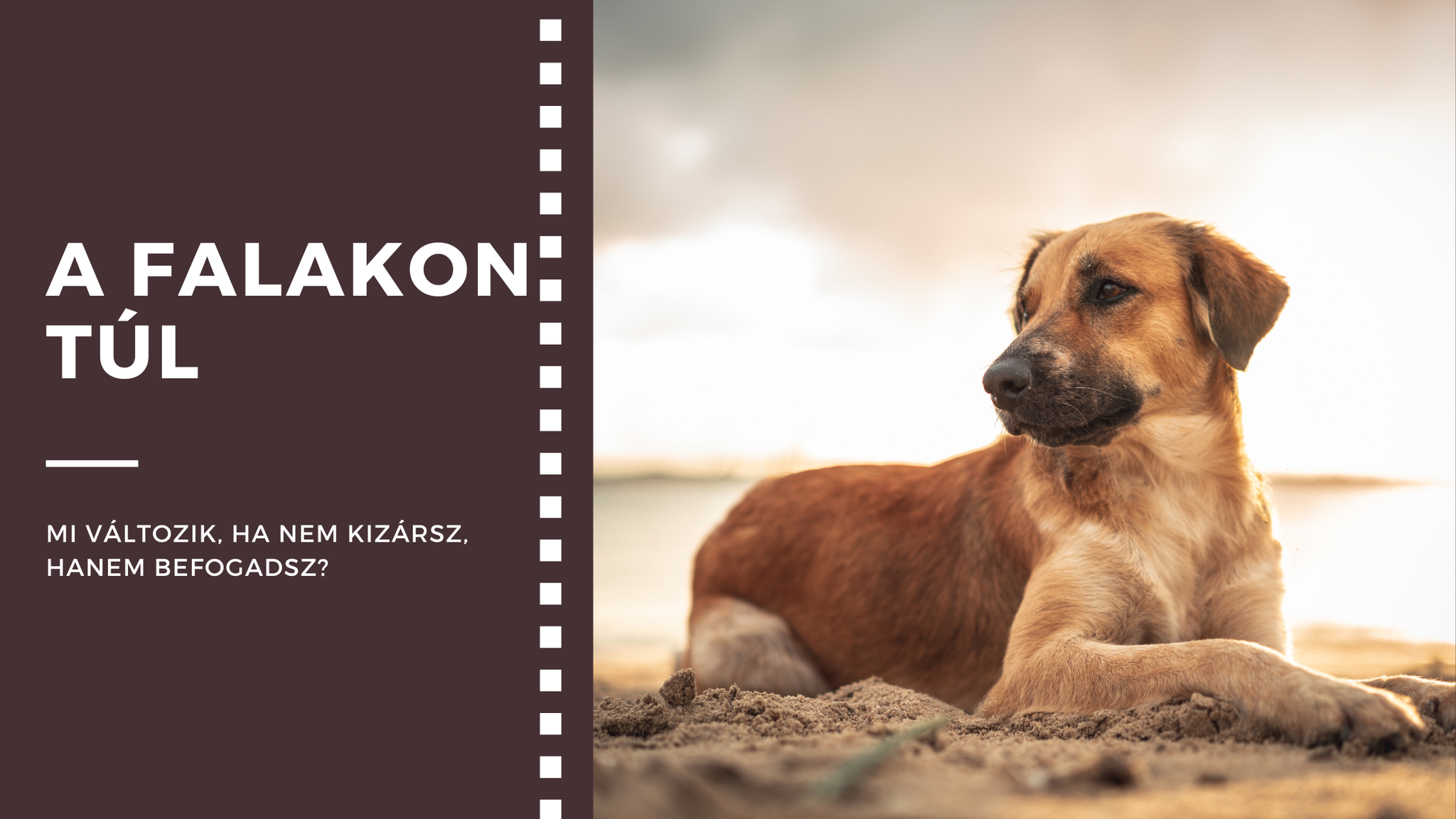 a falakon túl