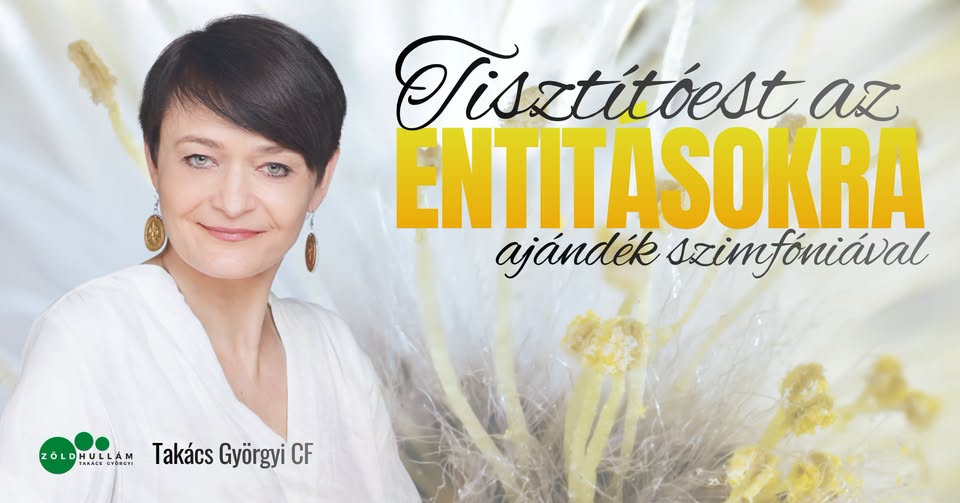 Tisztítóest az Entitásokra Ajándék Szimfóniával
