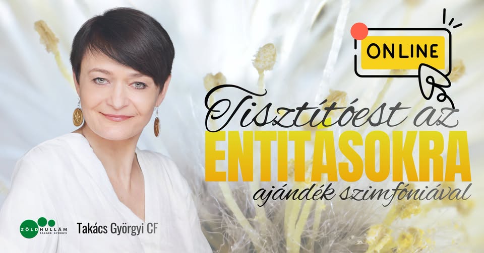 tisztítóest az entitásokra