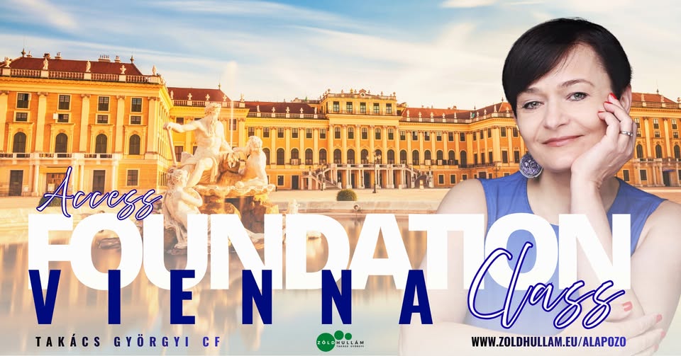 vienna foundation
